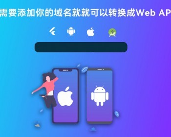 WebAPP源代码 网站转换APP源代码 网站生成APP源代码 Flutter项目 带控制端 详细视频教程 - App / Flutter