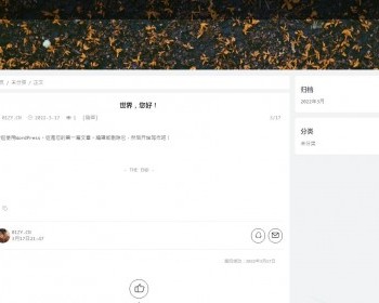 WordPress Qzdy主题4.8源码