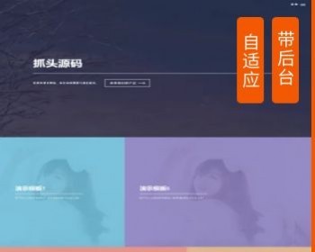 （带后台管理）引导页面导航网站引流页下载页面（模板1） - PHP