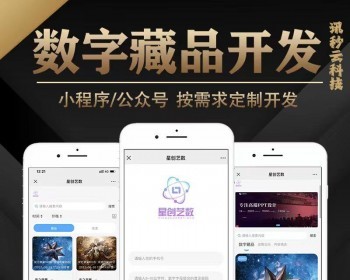 NFT数字艺术数字藏品 元宇宙 对接好的BSN文昌链 上链上链上链 有多套NFT系统 一条龙服务 - PHP