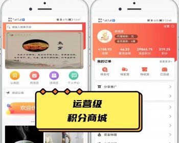 运营级积分兑换商城仿趣步有赞直销分销区域代理积分级差平级奖励分红二开 - ThinkPHP