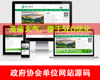 政府协会网站源码产业发展协会网站模板政府单位机构工会机构网站源码事业单位公司官网 - PHP