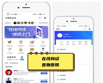 修复闪退宠物医院在线问诊医药宠粮商城小程序开发排队预约APP定制搭建 - PHP
