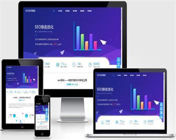 响应式大气IT网络软件公司seo快排类pbootcms模板整站带数据 - PHP
