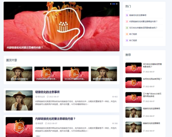 （自适应手机端）响应式新闻博客知识类pbootcms网站模板 自媒体运营博客网站源码 - PHP