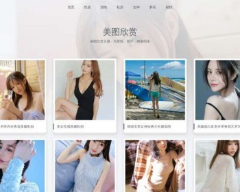 （自适应手机版）简约大气的图片相册类织梦网站模板 图片图集网站源码下载 - PHP