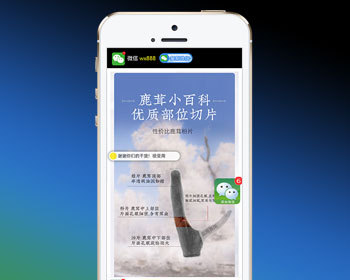 （独立手机版）落地页单页pbootcms模板 营销推广落地页网站源码下载 - PHP