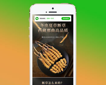 （独立手机版）营销推广落地页pbootcms模板 落地页单页网站源码下载 - PHP