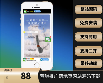 （独立手机版）落地页单页 营销推广落地页网站源码下载 - PHP