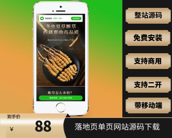 （独立手机版）营销推广落地页pbootcms模板 落地页单页网站源码下载 - PHP