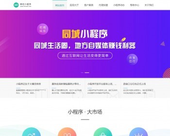 （电脑+手机端）微信小程序开发代理展示销售pbootcms网站模板（PC+WAP）软件开发公司网 - PHP