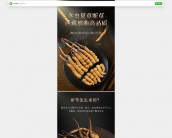 营销落地页设计pbootcms模板，大气手机端网站模板 - PHP