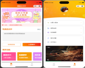 2023新版uniapp短视频+图片去水印小程序源码+批量解析+修改MD5+流量主+详细安装教程 - ThinkPHP