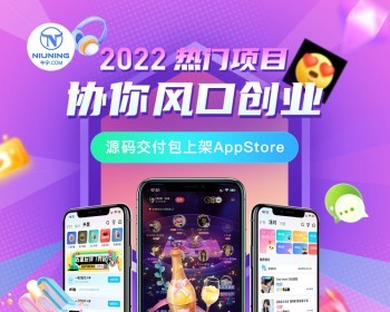 牛宁网社交出海系统语音聊天室APP开发交友连麦游戏约玩源码一对一系统狼人杀zhu - App / Flutter