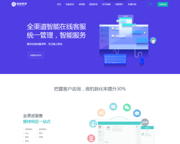 支持标准化二十国语言在线AI客服系统源码加固防黑独立子客服多渠道 - PHP