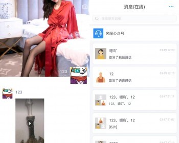仿企业密信蝙蝠密聊即时通讯聊天双向撤回端对端加密视语通话直播短视频可二开源码 - Java