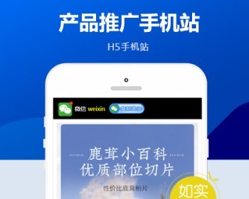 移动营销推广落地页pbootcms网站模板 - PHP