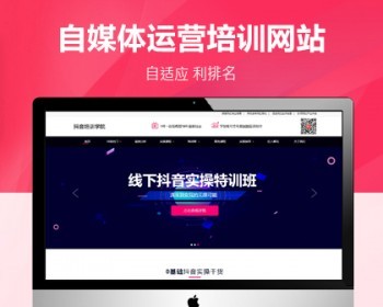 抖音短视频运营公司pbootcms网站模板 - PHP