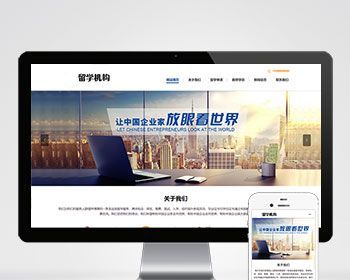 教育咨询服务教育培训出国留学移民机构留学申请类企业公司官网/页面简洁美观/免费授权 - PHP