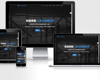 【正品】人类易支付平台源码 可完美运营_亲测 - PHP