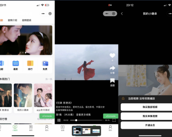 经典版仿抖音小剧场短剧影视微信小程序源码 自带支付收益带会员模式用户单独购买 全开源 - ThinkPHP