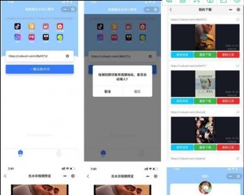 短视频去水印小帮手微信小程序源码带后台 - HTML / 前端静态