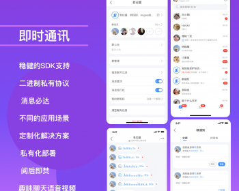 即时通讯/可定制/pc+安卓+ios/源码/私有化部署/支持万人大群/集群部署 - Java