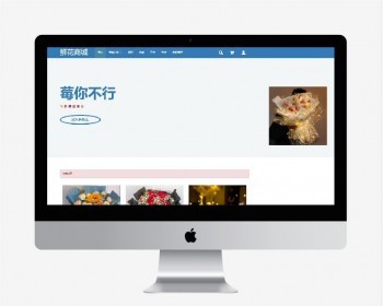 javaweb鲜花商城 商城系统源码
