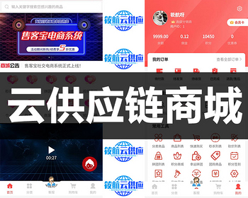 点大云供应链商城系统微信服务商分账正版坑位代搭建小程序三级分销团队分红DIY页面 - ThinkPHP