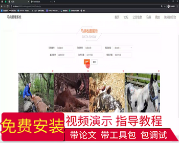 毕设ssm536基于web的马病管理系统+jsp毕业设计 - Java