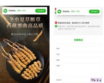 google_facebook广告投放H5单页网站手机端落地页产品推广带留言板表单 - PHP