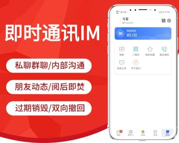 【运营版-有演示】仿TG聊天im软件即时通讯源码原生APP双端+pc端+音视频通话 - Java