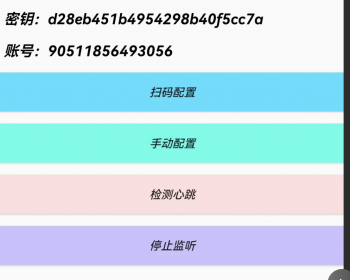 【稳定2.0版|ARYA云支付】微信，支付宝个码转卡转账免签聚合... - Java