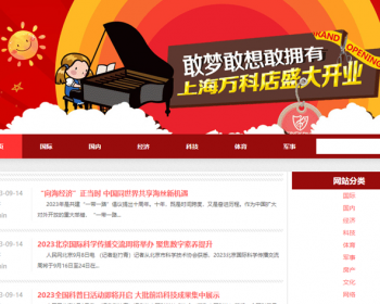 新闻系统-自动采集发布（免维护）-个人博客主题版 - PHP