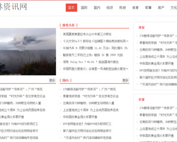 新闻系统-自动采集发布（免维护）-带11家新闻接口 - PHP