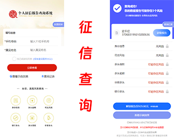 大数据查询数据查询征信系统征信网黑大数据查询 - ThinkPHP