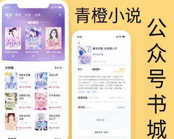 青橙小说系统公众号书城H5授权搭建 - PHP