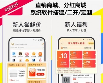 直销商城级差双轨公排链动2+1直推间推团队分红新零售软件分销APP开发微商管理源码系统 - ThinkPHP