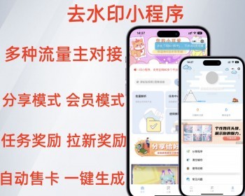 Saas多开去水印小程序去视频图片去水印可对接流量主 - PHP