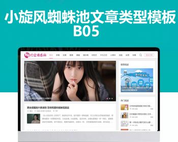 小旋风蜘蛛池站群模板html文章新闻资讯类型模板蜘蛛池站群源码模板b05 - PHP