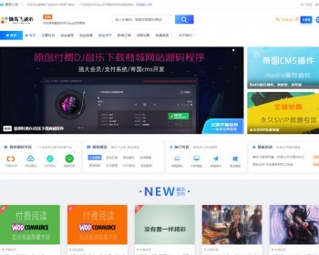 帝国cms自适应知识付费图片虚拟素材下载站模板带会员支付网源码 - PHP