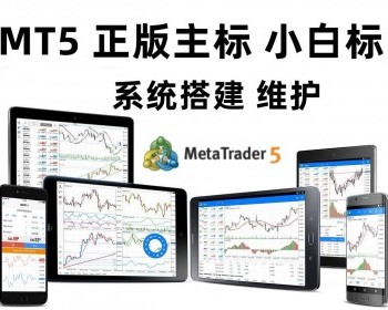搭建维护外汇软件mt5搭建维护正版主标白标搭建外汇MT5软件系统APP软件系统源码 - PHP