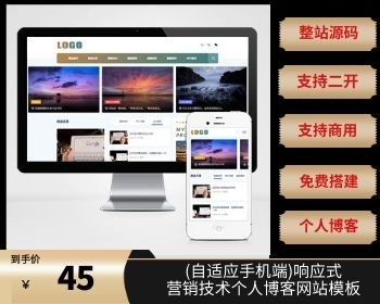 （自适应手机端）响应式营销技术个人博客网站模板 - PHP