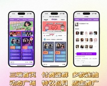 2025新版交友盲盒系统搭建带付费群聊-VIP动态广场-多个模版等等（首发） - PHP