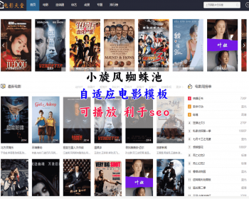 小旋风蜘蛛池影视模板 电影视频模板 自适应影视模板 - HTML / 前端静态