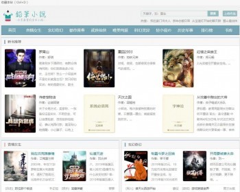 小旋风蜘蛛池模板小说04自适应铅笔小说4页面小说站群模板 - HTML / 前端静态