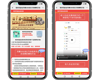 程序员副业月赚3000到2万的赚钱方法推广页源码 - HTML / 前端静态