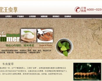 棕色简洁的虫草医药网站模板html整站 - HTML / 前端静态