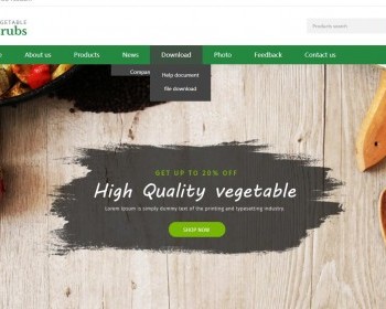 纯静态HTML蔬菜网农家果蔬产品展示订购 - HTML / 前端静态
