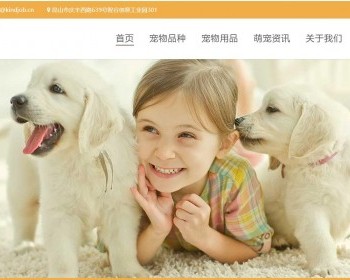 宠物咨询门户小网站静态HTML模板 - HTML / 前端静态